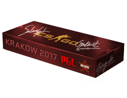Krakow 2017 Cache Souvenir Package Skins