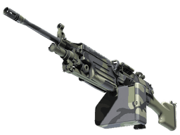 M249 | Sage Camo