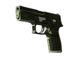 P250 | Iron Clad