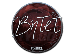 Sticker | BnTeT | Katowice 2019
