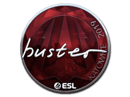 Sticker | buster | Katowice 2019