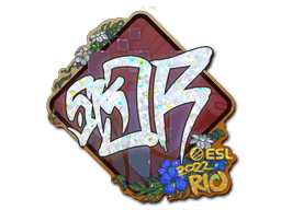 Sticker | sk0R (Holo) | Rio 2022