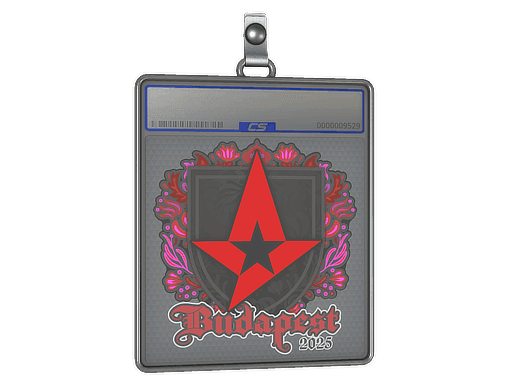 Sticker Slab | Astralis | Budapest 2025