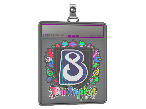Sticker Slab | B8 (Holo) | Budapest 2025