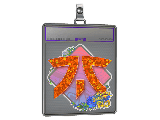 Sticker Slab | Fnatic (Glitter) | Rio 2022