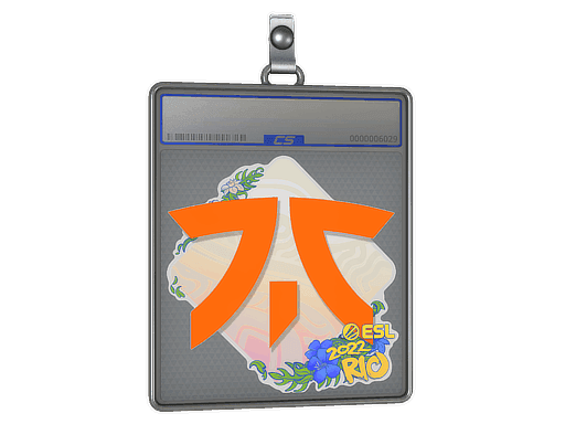 Sticker Slab | Fnatic | Rio 2022