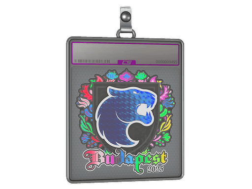 Sticker Slab | FURIA (Holo) | Budapest 2025