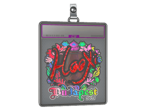 Sticker Slab | HooXi (Holo) | Budapest 2025