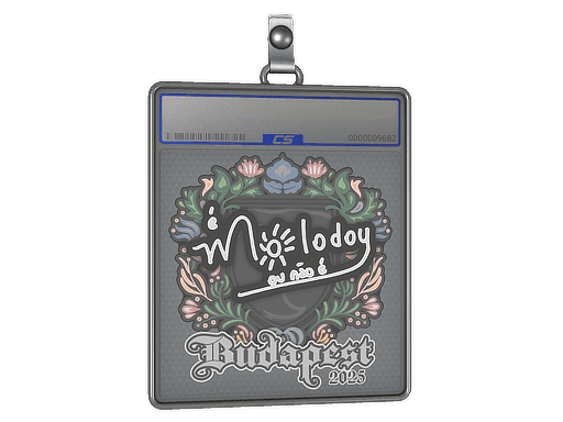 Sticker Slab | molodoy | Budapest 2025