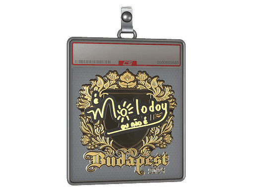 Sticker Slab | molodoy (Gold) | Budapest 2025