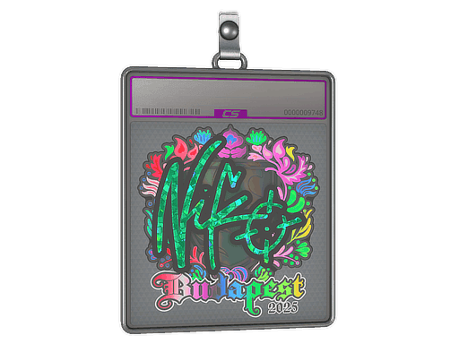 Sticker Slab | NiKo (Holo) | Budapest 2025