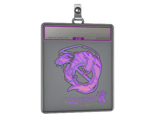 Sticker Slab | Outsiders (Holo) | Antwerp 2022