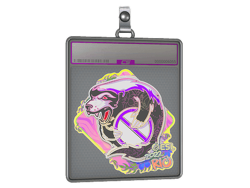 Sticker Slab | Outsiders (Holo) | Rio 2022