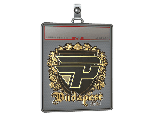 Sticker Slab | paiN Gaming (Gold) | Budapest 2025