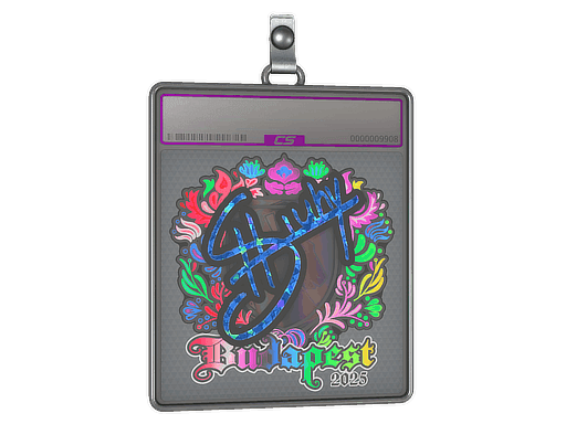 Sticker Slab | siuhy (Holo) | Budapest 2025