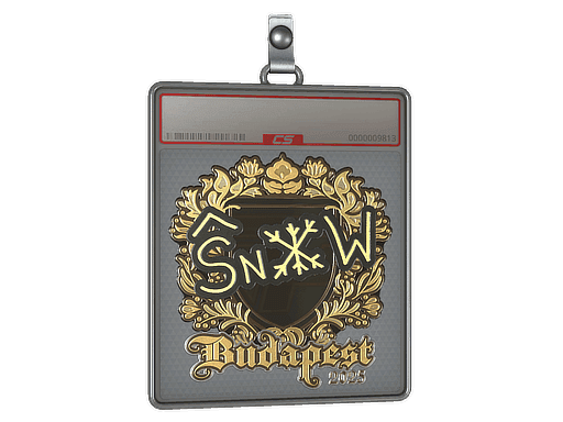 Sticker Slab | snow (Gold) | Budapest 2025