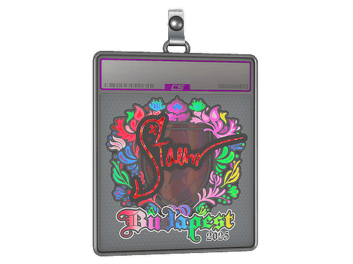 Sticker Slab | Staehr (Holo) | Budapest 2025