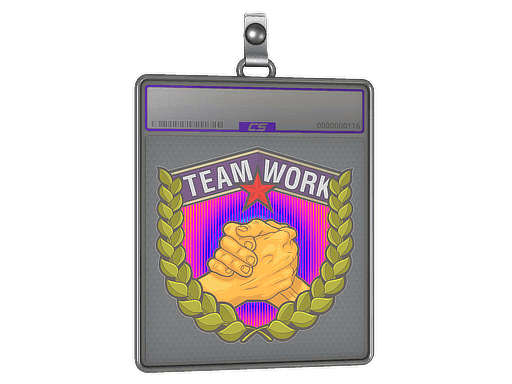 Sticker Slab | Teamwork (Holo)