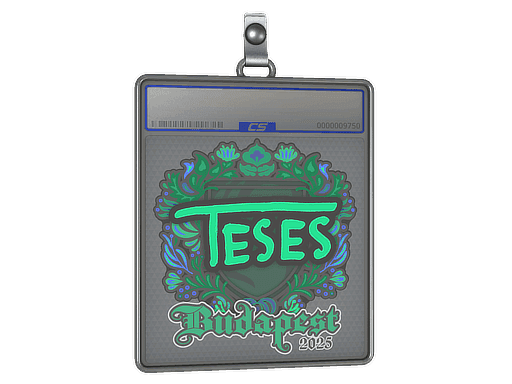 Sticker Slab | TeSeS | Budapest 2025