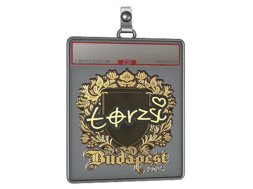 Sticker Slab | torzsi (Gold) | Budapest 2025