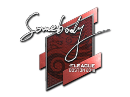 Sticker | somebody (Gold) | Boston 2018