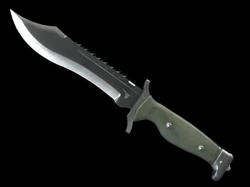 Bowie Knife