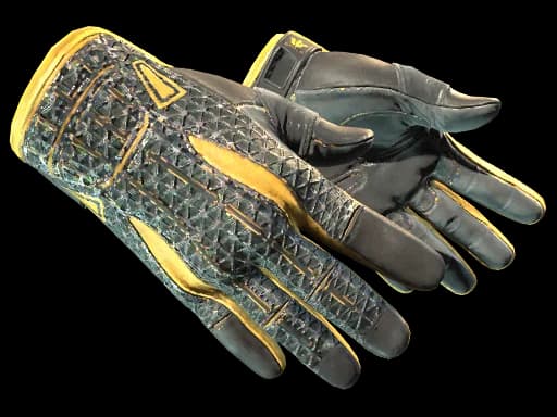 Sport Gloves