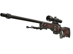AWP | Duality