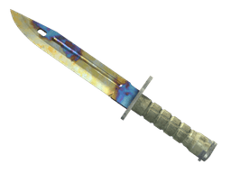 ★ Bayonet | Case Hardened