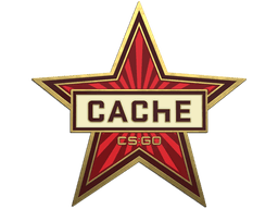 Cache Pin