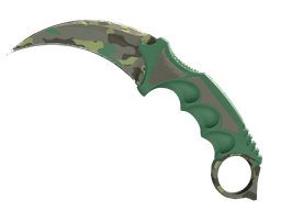 ★ Karambit | Boreal Forest