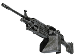 M249 | Midnight Palm