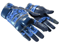 ★ Moto Gloves | Polygon