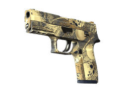 P250 | Contamination