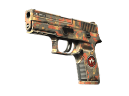 P250 | Red Rock