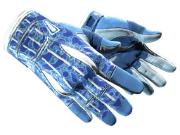 ★ Sport Gloves | Amphibious