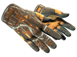 ★ Sport Gloves | Big Game